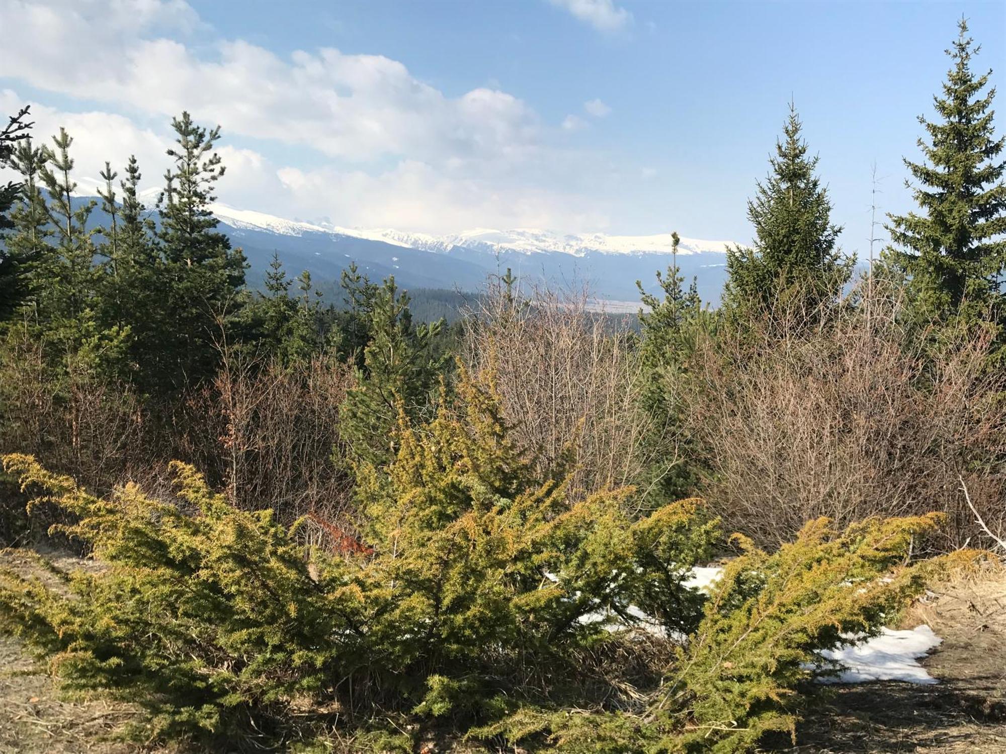 Borovets Hills Apartments - Evergreen Suite Bagian luar foto