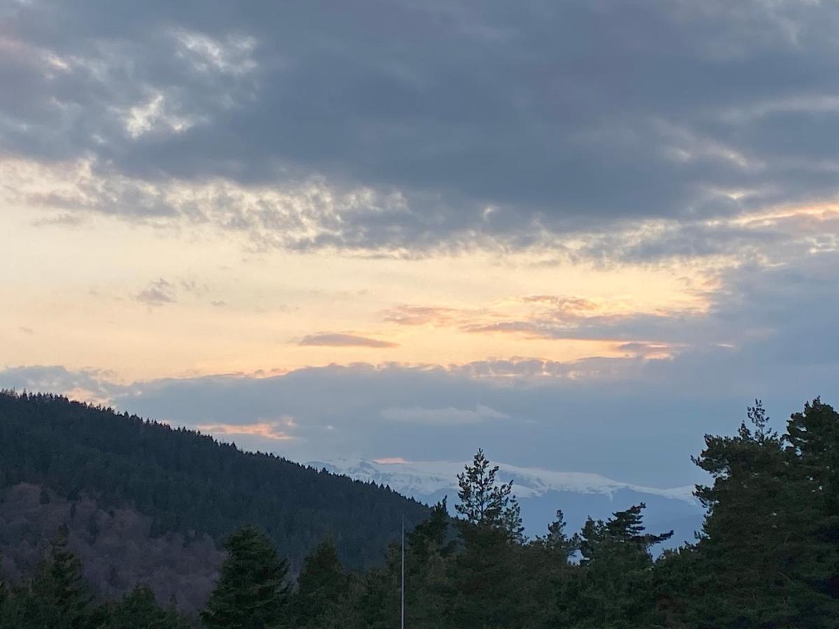 Borovets Hills Apartments - Evergreen Suite Bagian luar foto